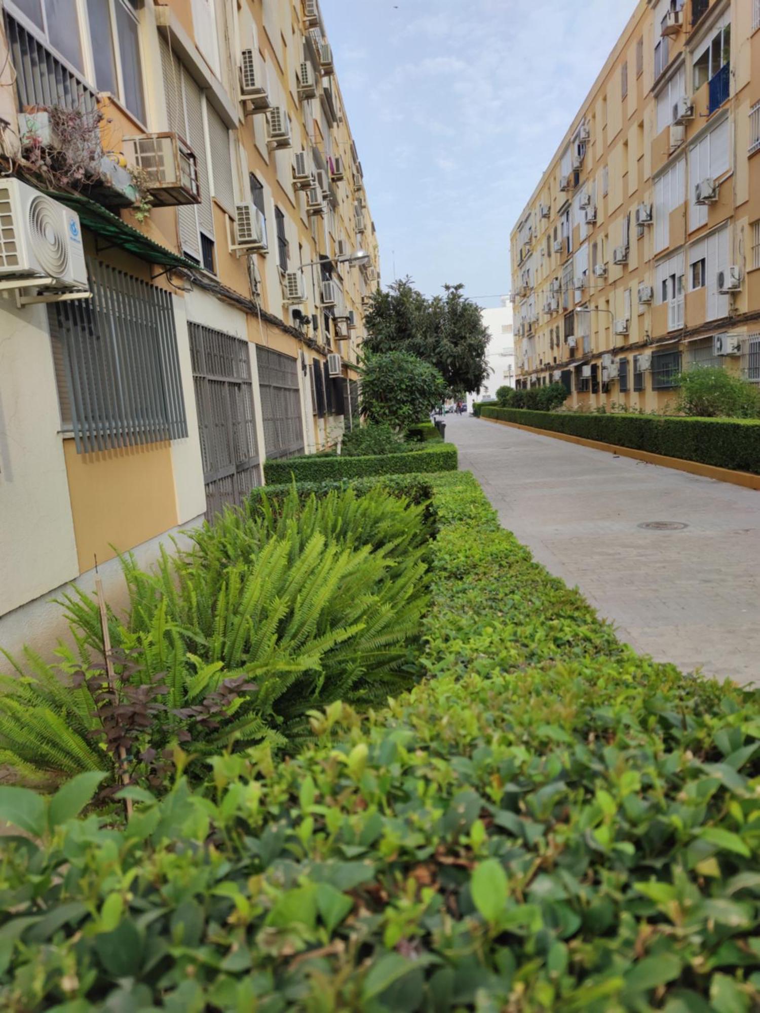 Apartamento Celia Севилья Экстерьер фото